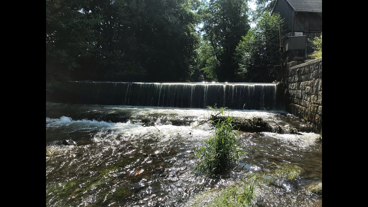 Angeln in der Freiberger MuldeTeil: 1