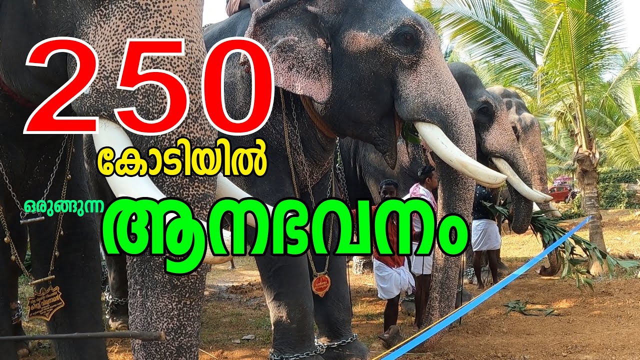 ആനകൾക്കായ് ഒരു ആശ്രയകേന്ദ്രം | ganesh fort | 250 crore project | chittanda | elephant mating centre