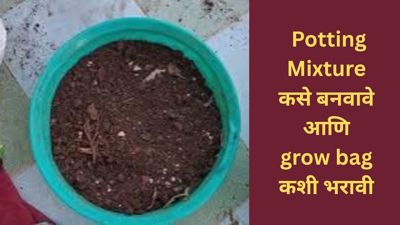How to make potting mixture & fill the grow bag | Potting Mixture कसे बनवावे आणि grow bag कशी भरावी