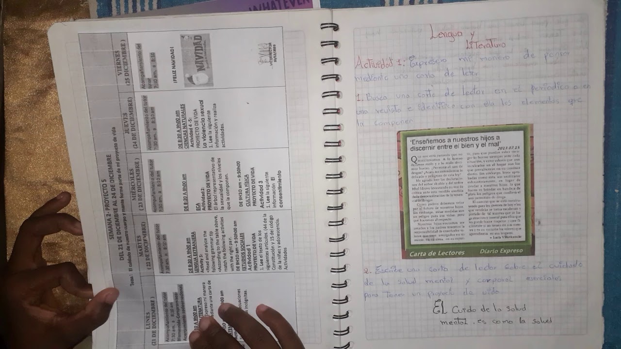 Proyecto 5 de Anahi Mina