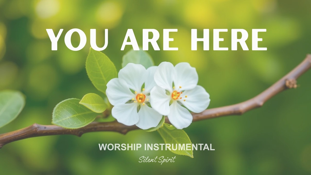 YOU ARE HERE – Soaking Worship Instrumental | Quiet Time With God