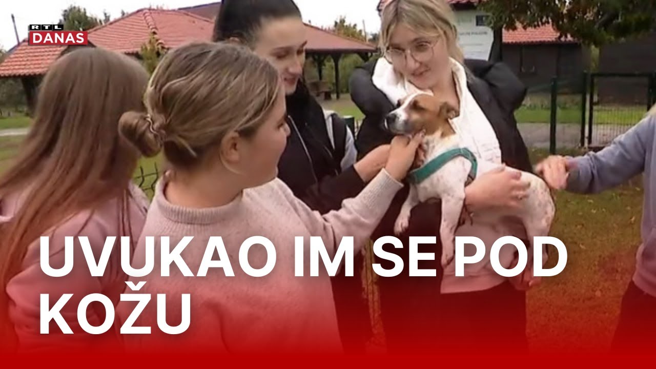 Psić Aš je prije 6 mjeseci ušetao u dvorište Agronomske škole. Danas je to njegov dom | RTL Danas
