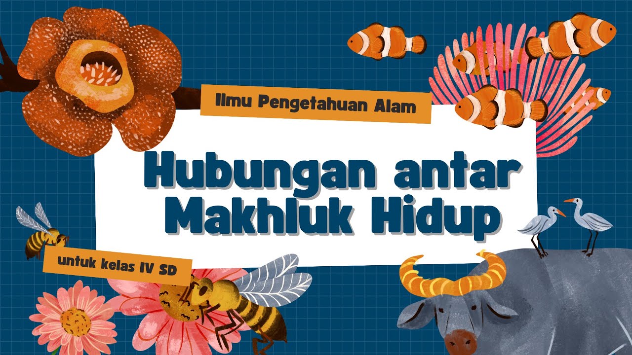 HUBUNGAN ANTAR MAKHLUK HIDUP | IPAS Kelas IV SD