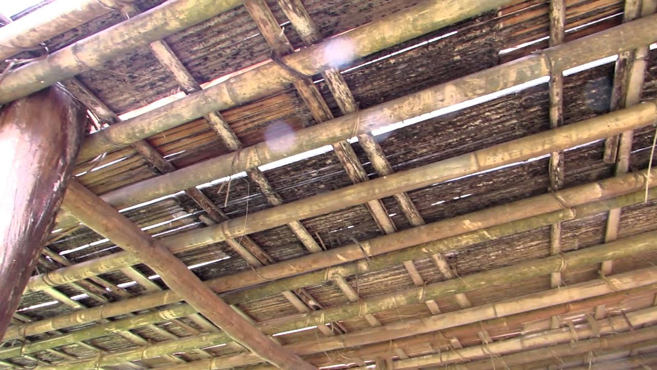 Different styles of bamboo houses