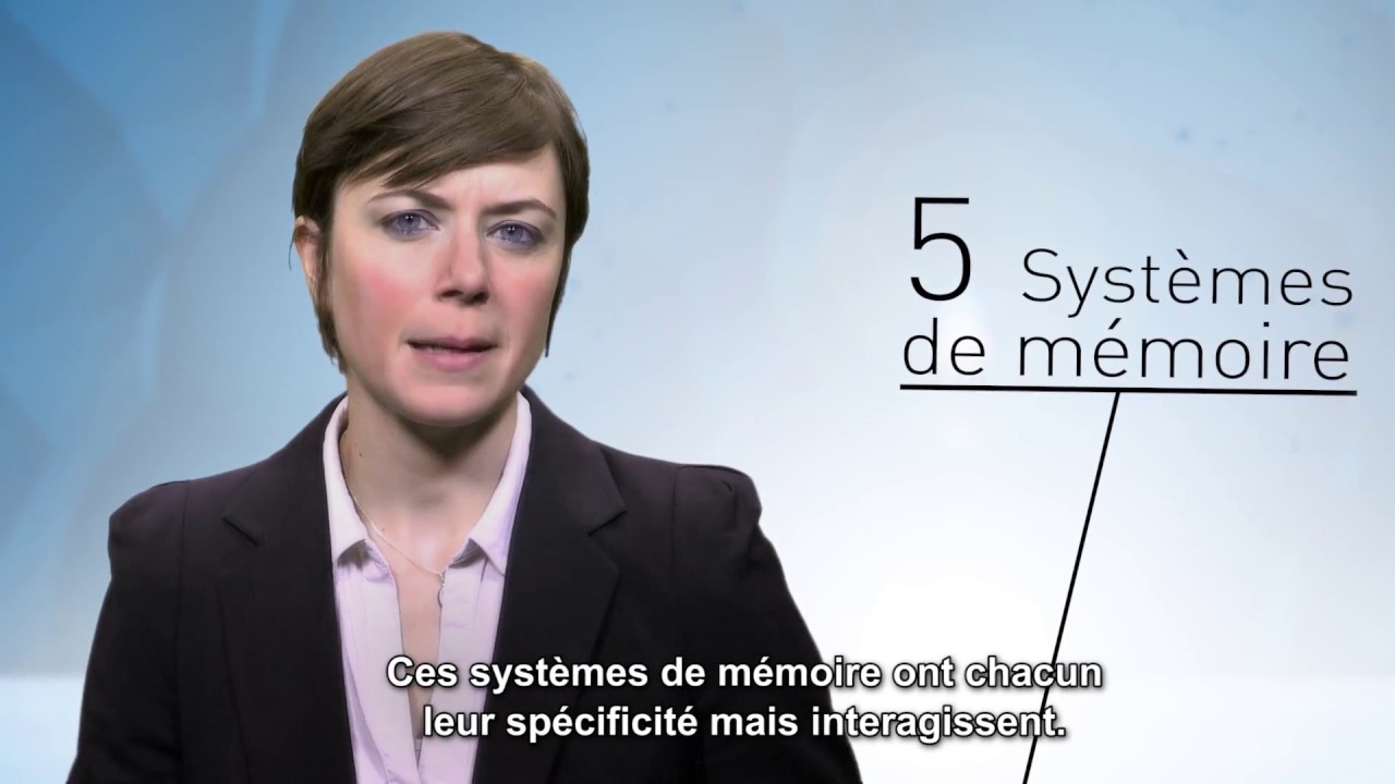 La Mémoire perceptive