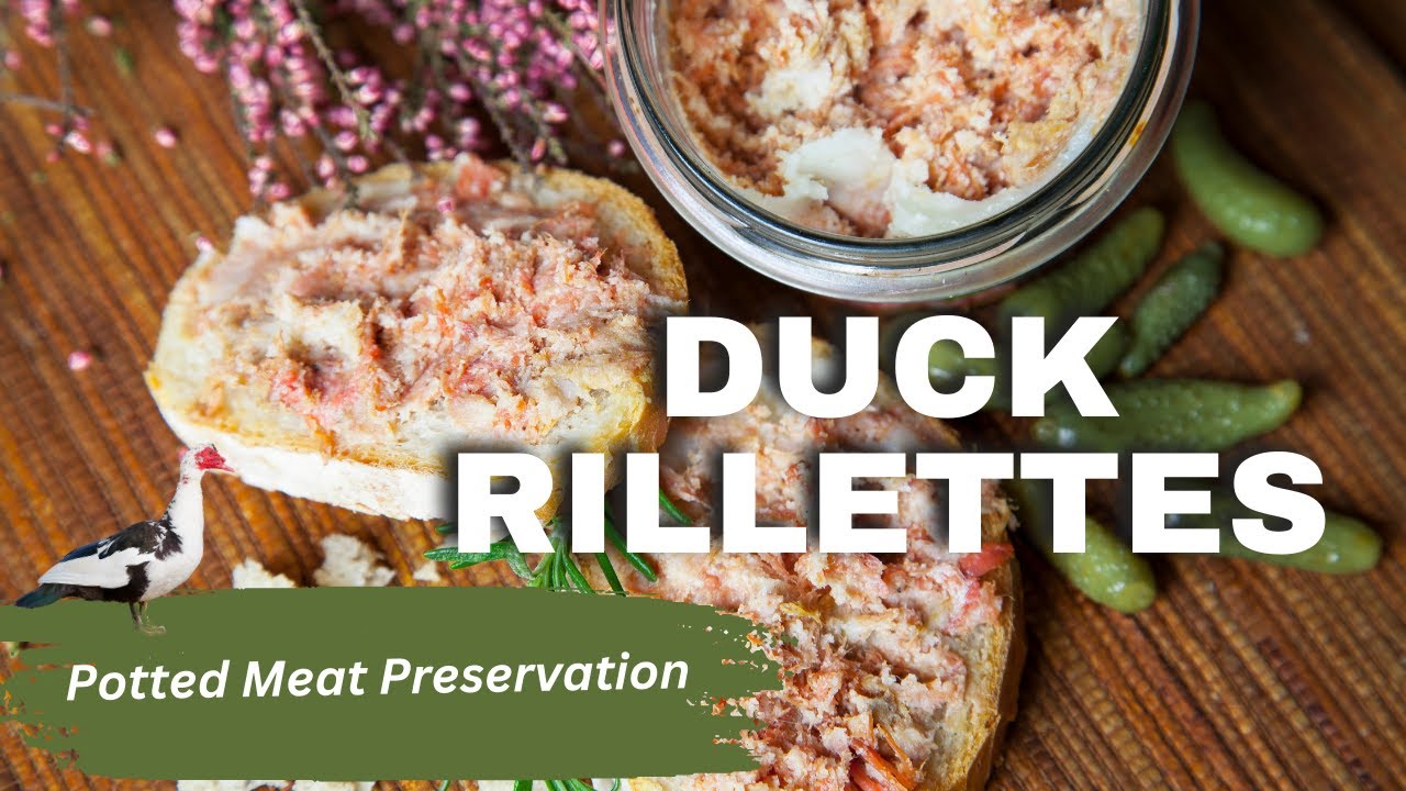 Creating AMAZING Rillettes With Easy Old School Techniques