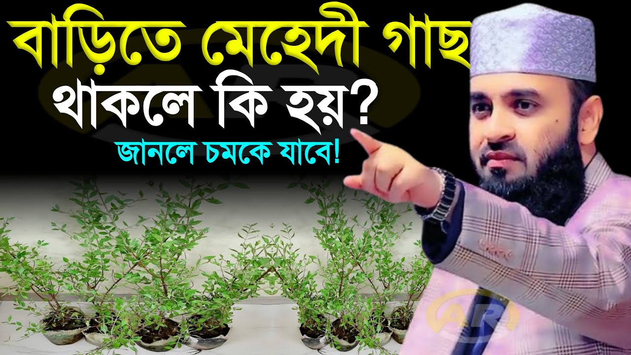 বাড়িতে মেহেদী গাছ থাকলে কি হয়? জানলে চমকে যাবে । মিজানুর রহমান আজহারী   11 Feb 202609:00
