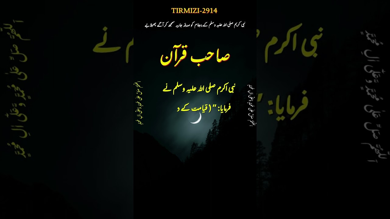 Hafiz e Quran ki Fazilat | Tilawat e Quran ki fazilat |Quran ki ahmiyat aur fazilat #shorts
