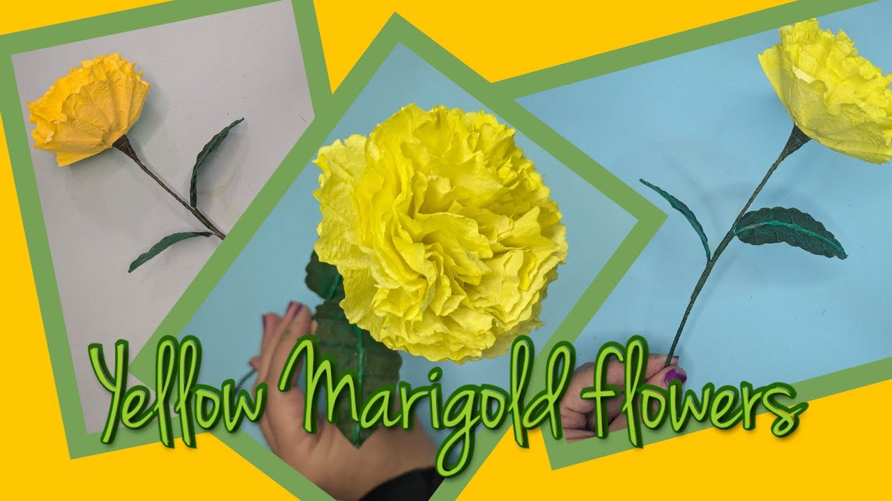 Real yellow marigold flower of tissue paper
