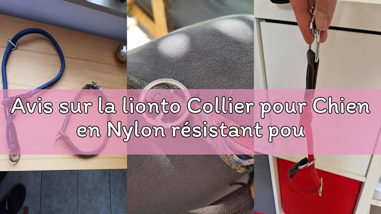 Avis sur la lionto Collier pour Chien en Nylon résistant pour l'entraînement, 50 cm de Long 1 cm d'é