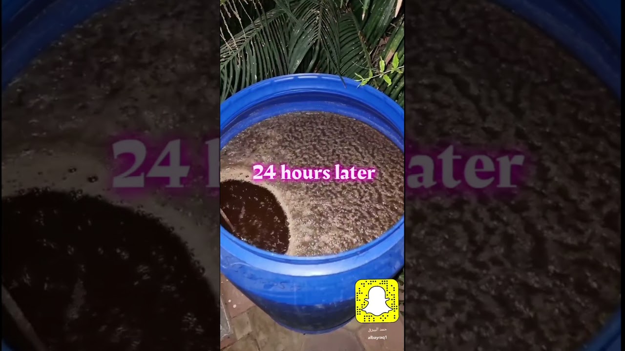 طريقة عمل سماد Super compost tea