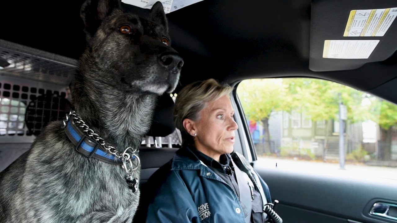 CPD Video Series Presents: The Mass Transit K-9 Unit