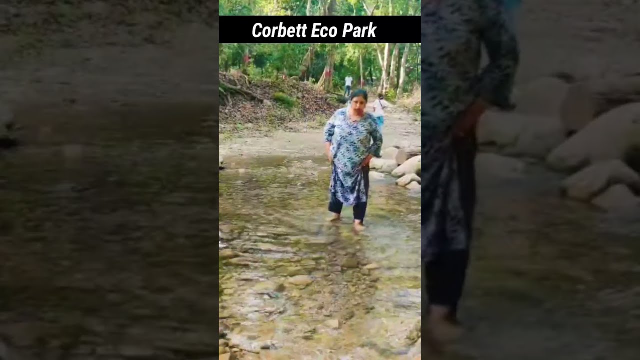 Corbett Eco Park, Corbett Falls, Nainital Uttarakhand