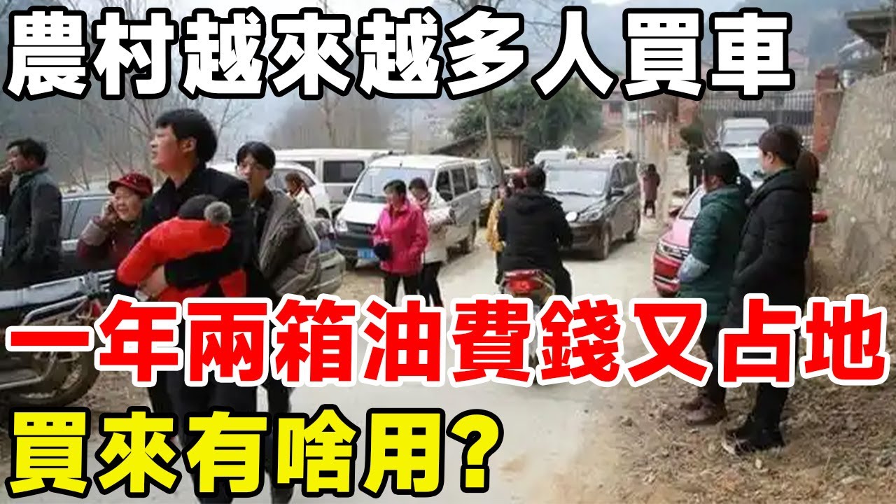 農村越來越多人買車，一年兩箱油費錢又占地，買來有啥用？#科普 #科普頻道