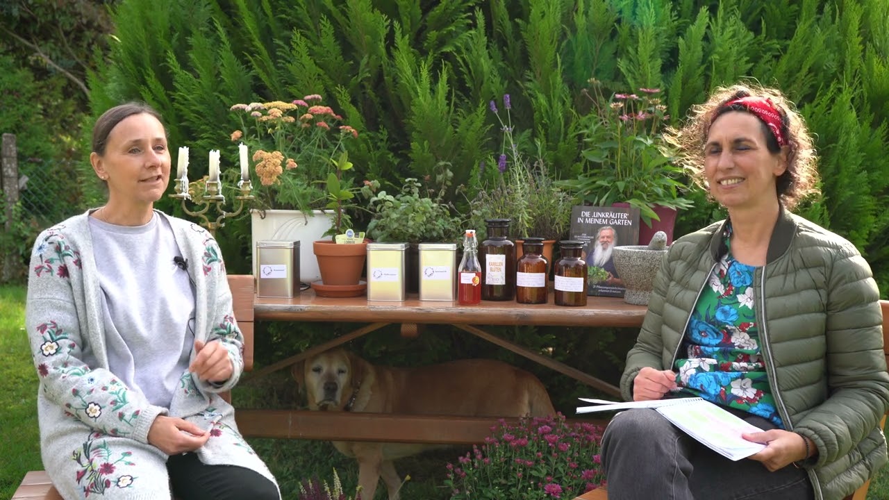 Die wunderbare Welt der Heilpflanzen - Wildkr&auml;uter - Phytotherapie