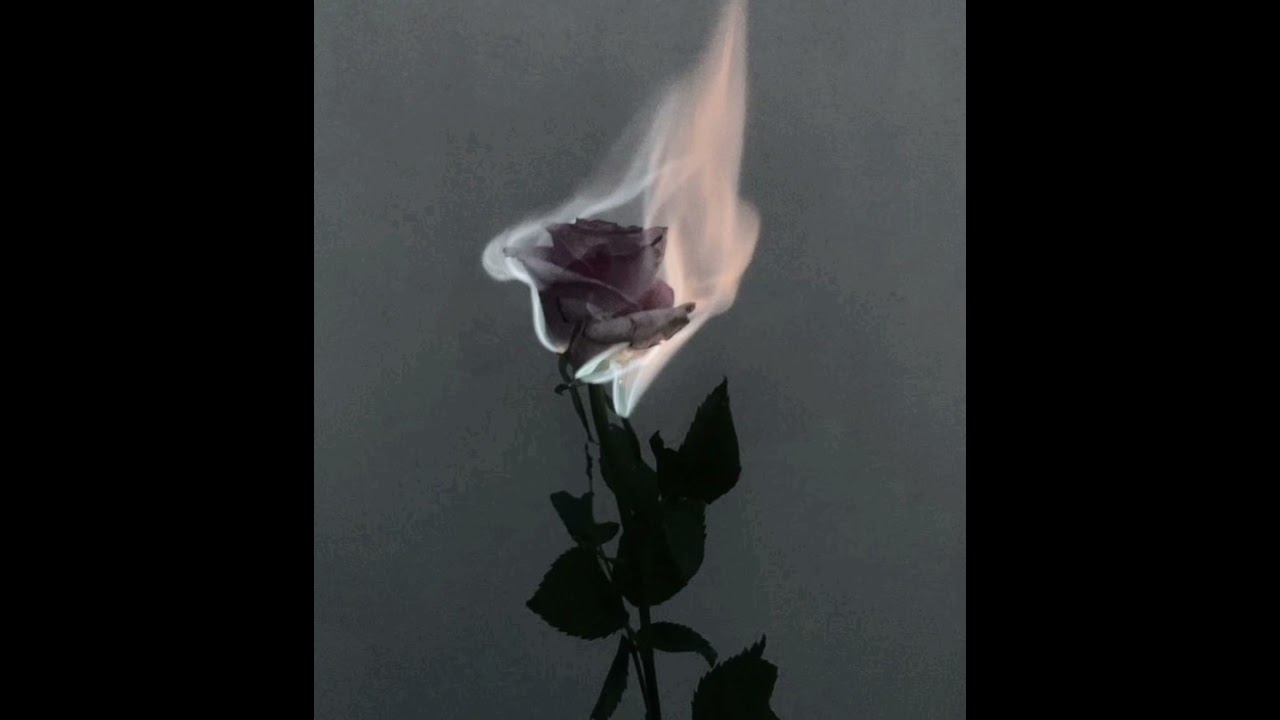 speed gang - sweet dreams {slowed+reverbed}