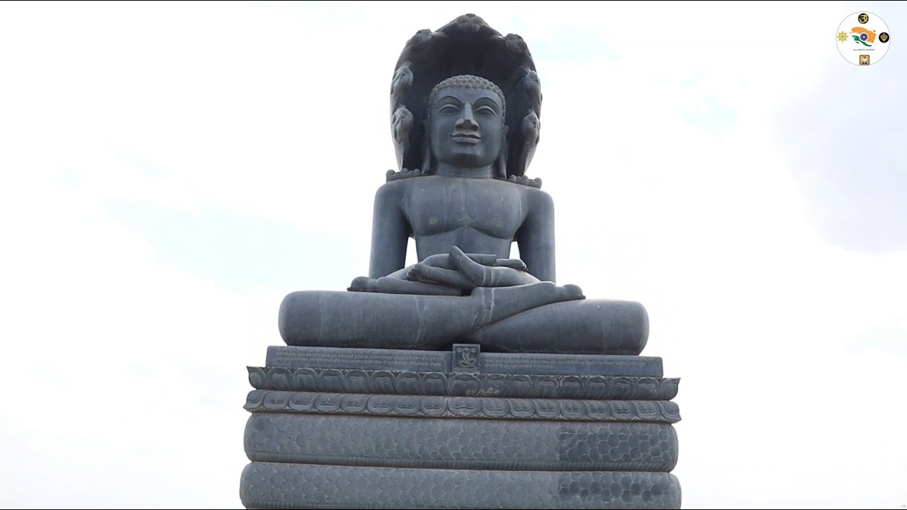 पुष्पगिरी तीर्थ क्षेत्र जैन मंदिर। मध्य प्रदेश (Part #1)