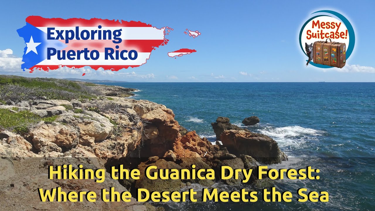 Hiking the Guanica Dry Forest: Where the Desert Meets the Sea