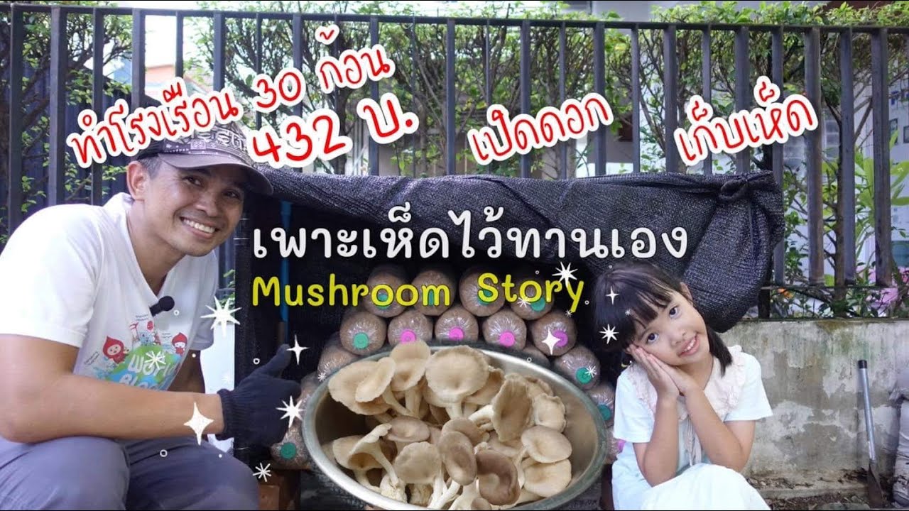👧🏻 ทำโรงเรือนเพาะเห็ดไว้ทานเอง 🍄 Mushroom Story EP.1 🍄