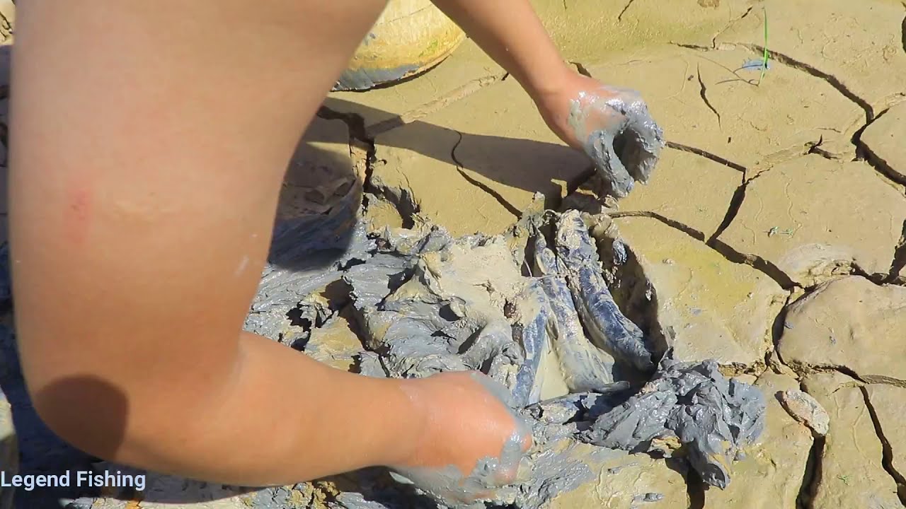 Mud Fishing After Rain |Catching Catfish & Fish In Secret Dried Mud Entering​ Rainy Season