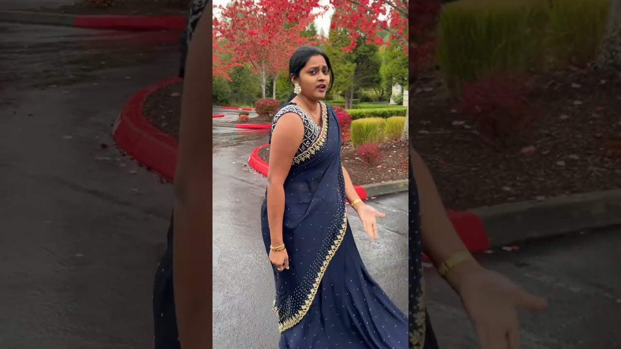 ✨💙 #geethavlogs #teluguusa #teluguvlogsfromusa #saree