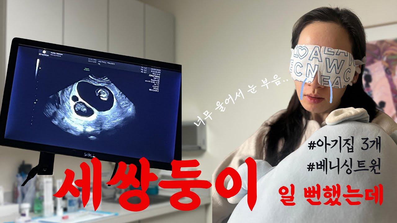 ...아기집이 3개라구요? #베니싱트윈