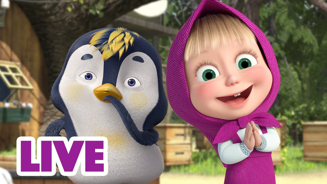 🔴 LIVE 🐻👧 Masha y el Oso 2023 🎈🐧¿Cómo empezó todo?🎬 Masha and the Bear