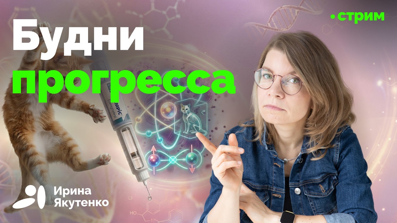 Котики, оземпик в беременность, научные шутки и другое