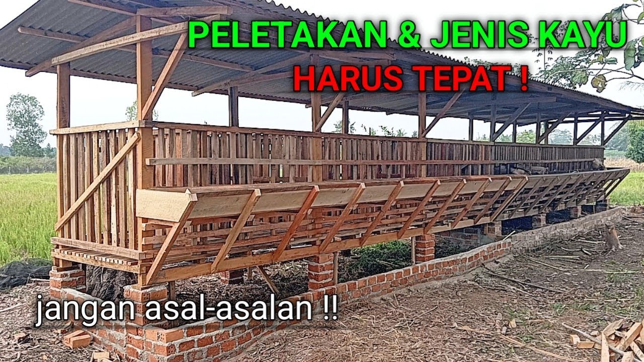 membuat kandang kambing tidak semua kayu keras‼️tentunya harus tau peletakanya