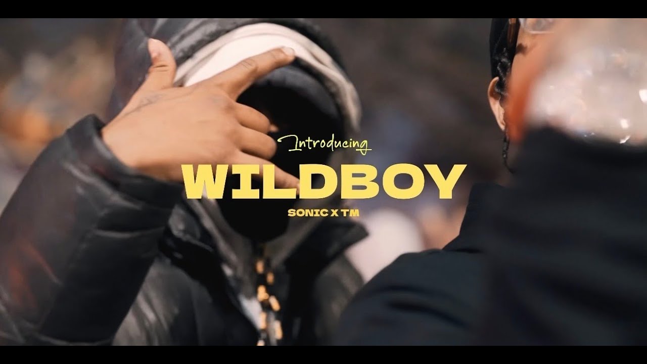 Sonic X T.M.- Wildboy