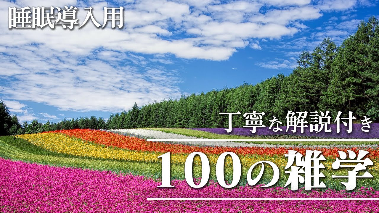【睡眠導入用】100の雑学(解説付き)【雑学】深くて楽しい雑学を♪
