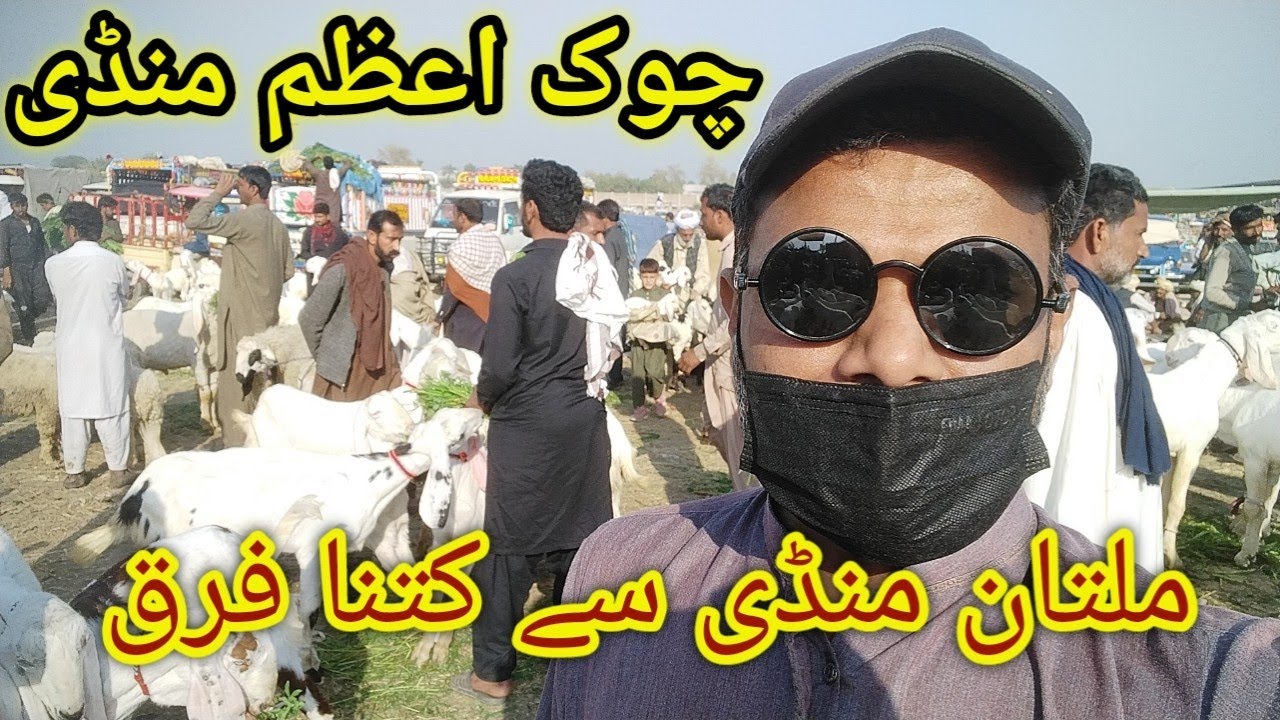 Chowk Azam Bakra Mandi Ki Update Rates Mai Kitna Faraq Ha Must Watch Video #chowkazammandi #viral