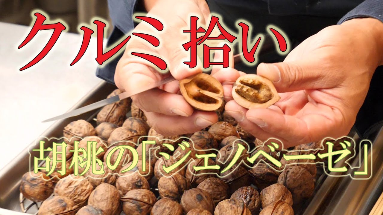 河原でクルミ拾い！？【殻付きクルミの割り方】野生の【鬼胡桃】で「パスタ・ジェノベーゼ」を作る