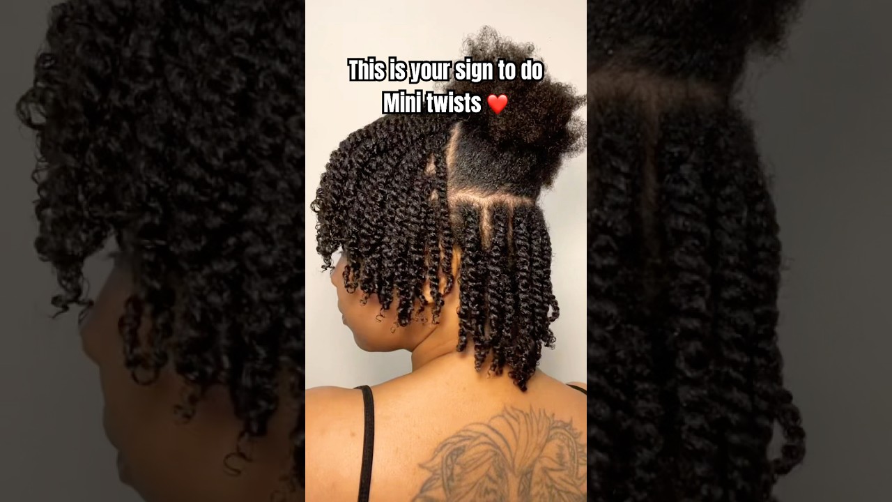 Mini Twists On Natural Hair | Natural Hairstyles| Protective Hairstyles for Type 4 Hair |Curly Hair