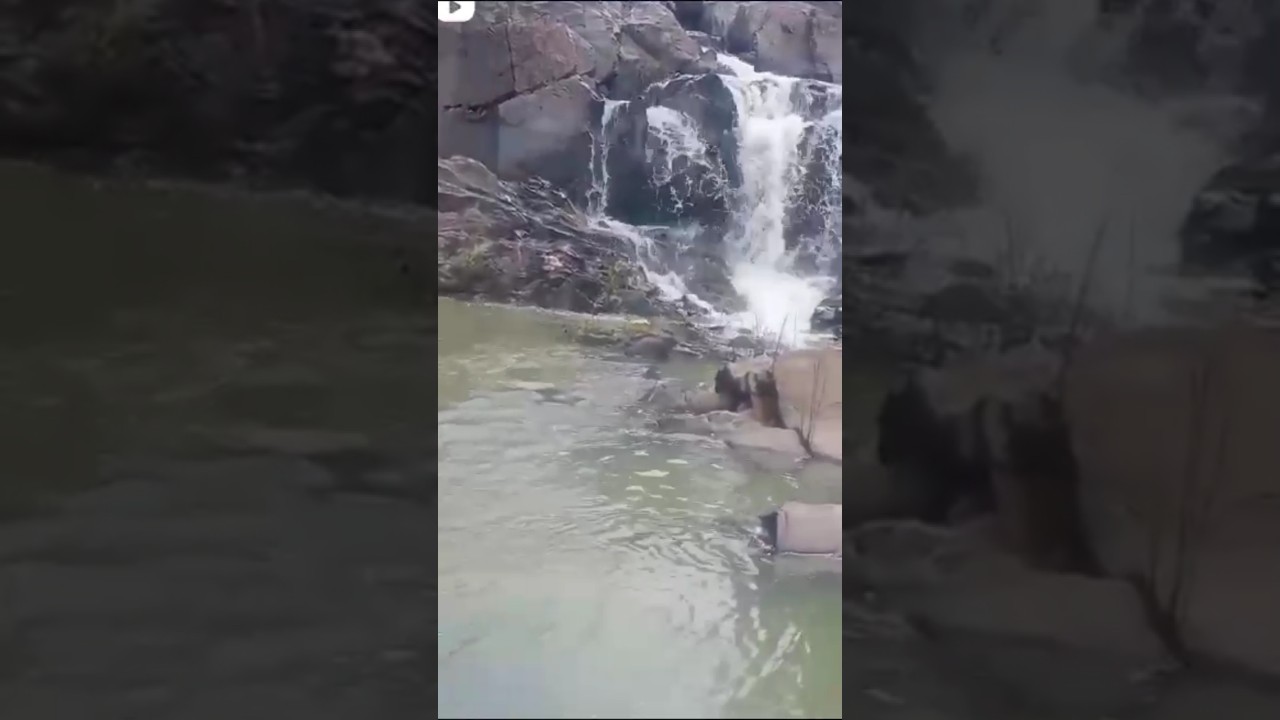 Chandra fall 🍂⛰️⛰️ll Ormanjhi ll      Ranchi, (jharkhand)..# waterfall #jharkhand ..!