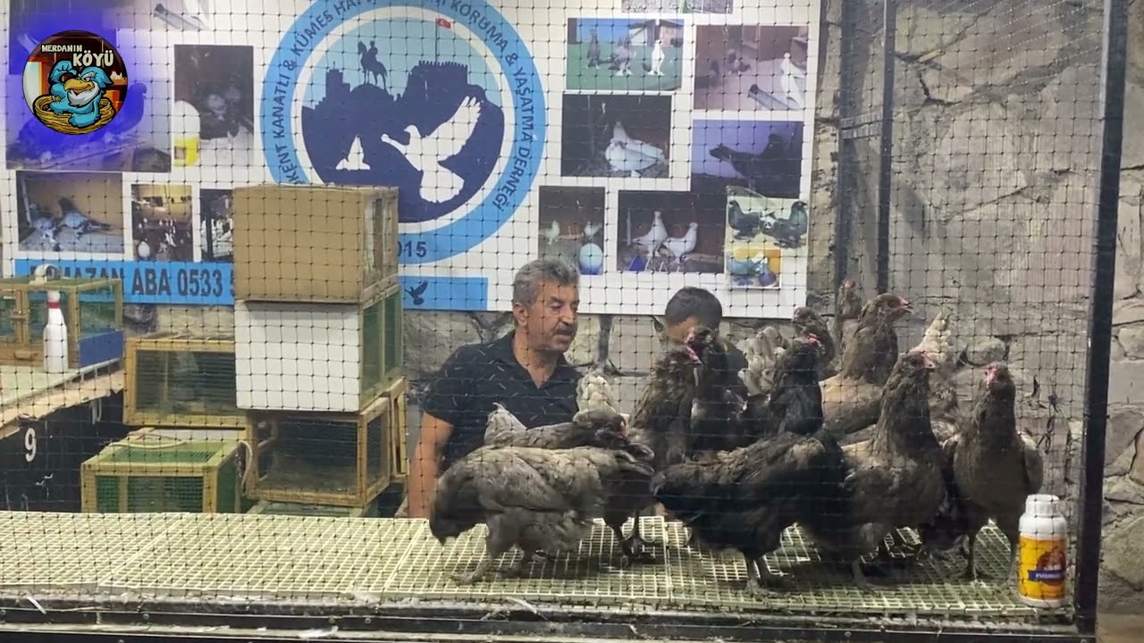 Bu Mezatı Kaçıranlar Pişman