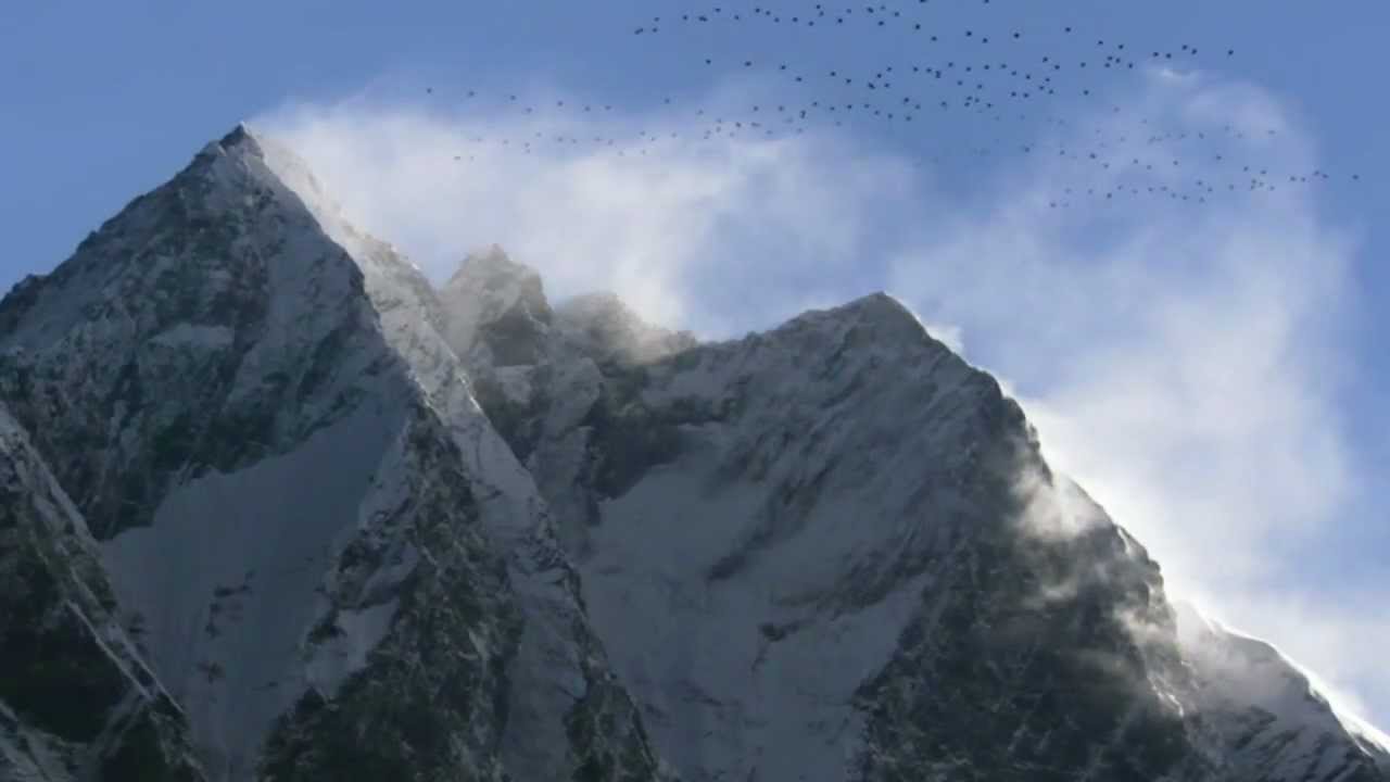 M83 - Outro (Nature in HD, 60fps)