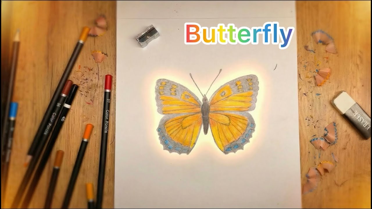 How to Draw a Butterfly Step by Step 🦋 | Easy Drawing Tutorial