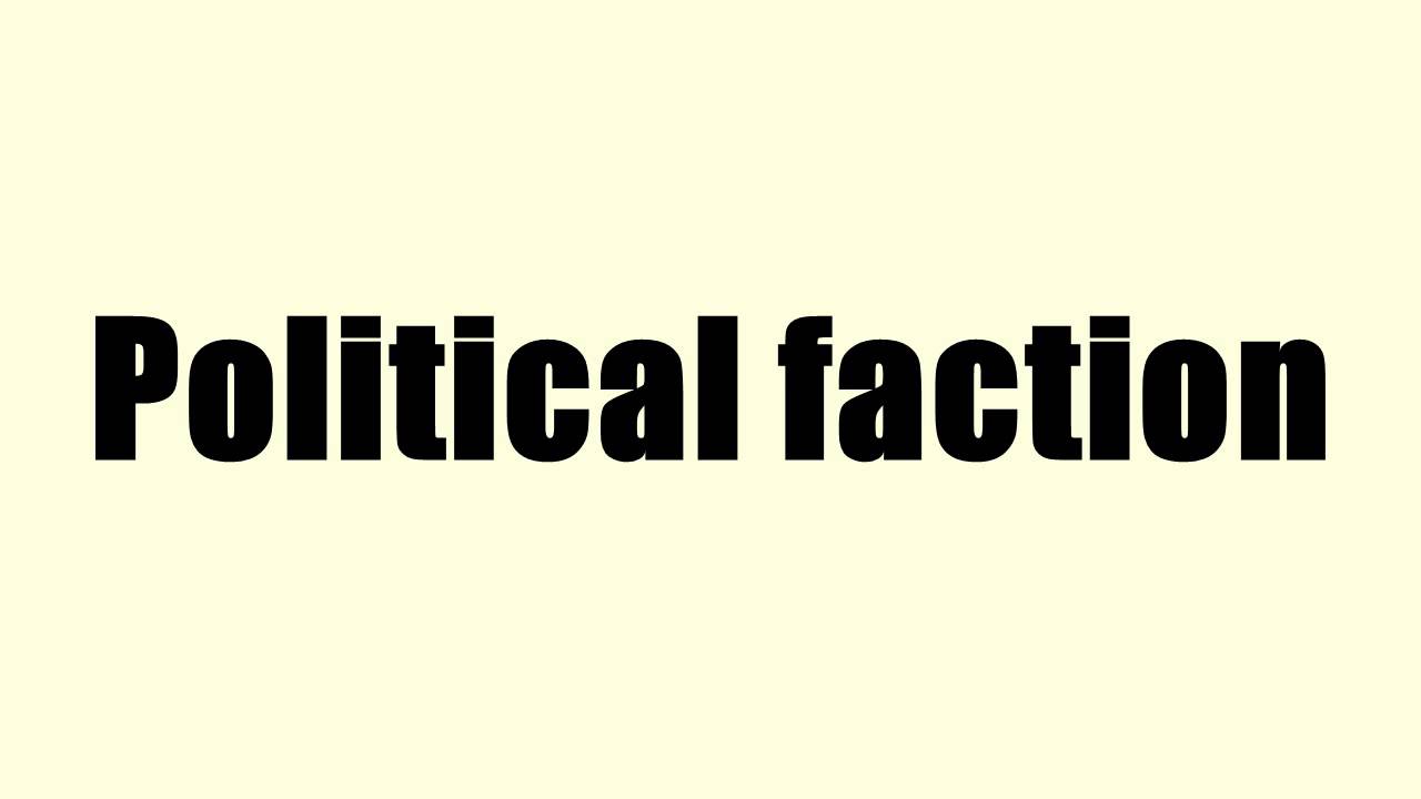 Political faction
