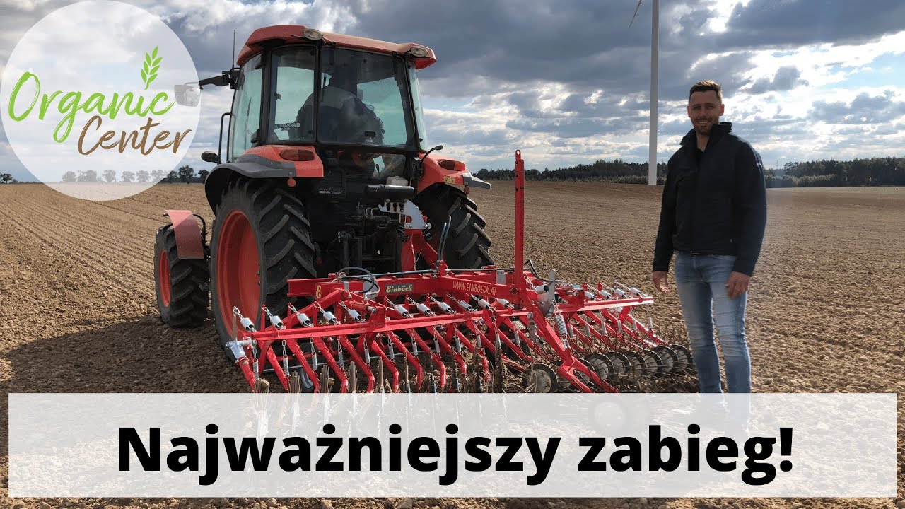 Najważniejszy zabieg broną chwastownik w zbożu #rolnictwoekologiczne #chwastownik #einböck