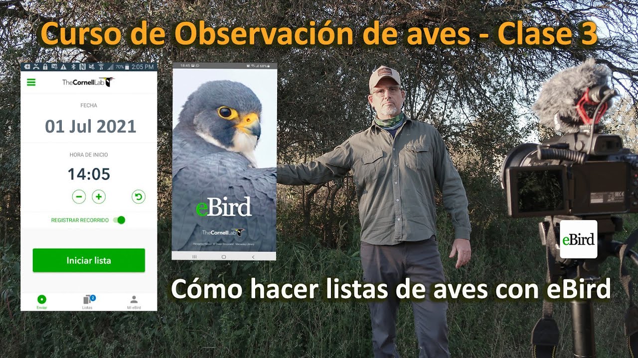 Tutorial de cómo utilizar eBird 📱 + 12 buenas prácticas - La App del observador de aves