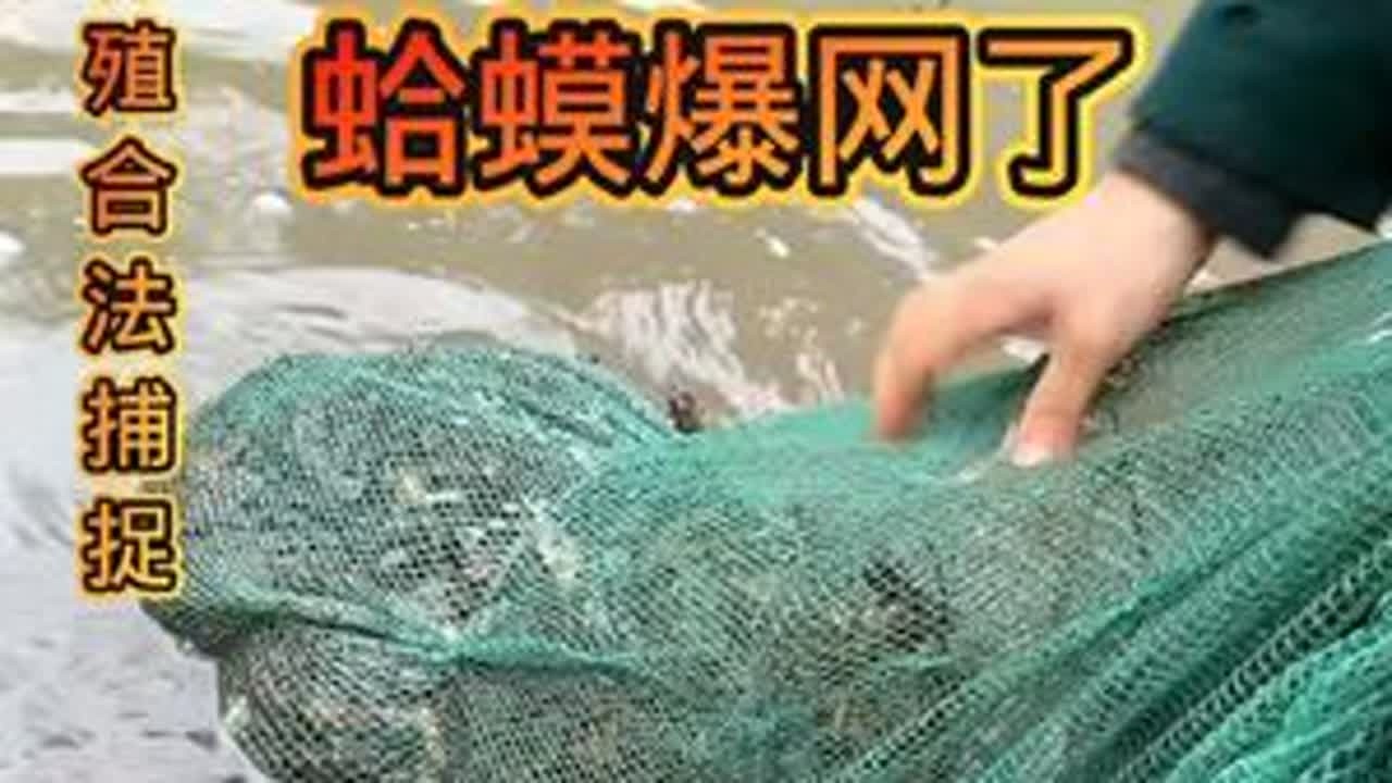 #记录我的大山生活 #快来一起尝个鲜 #雪蛤 #东北大母豹子