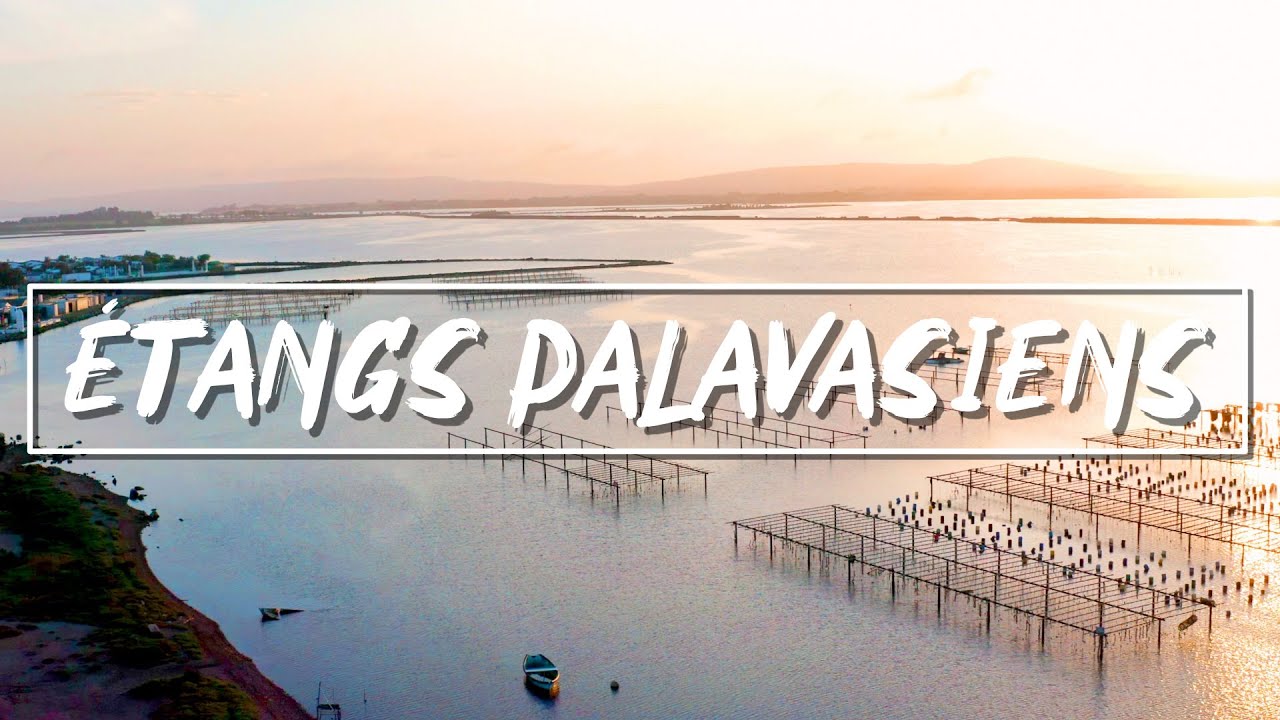 ÉTANGS PALAVASIENS - HÉRAULT