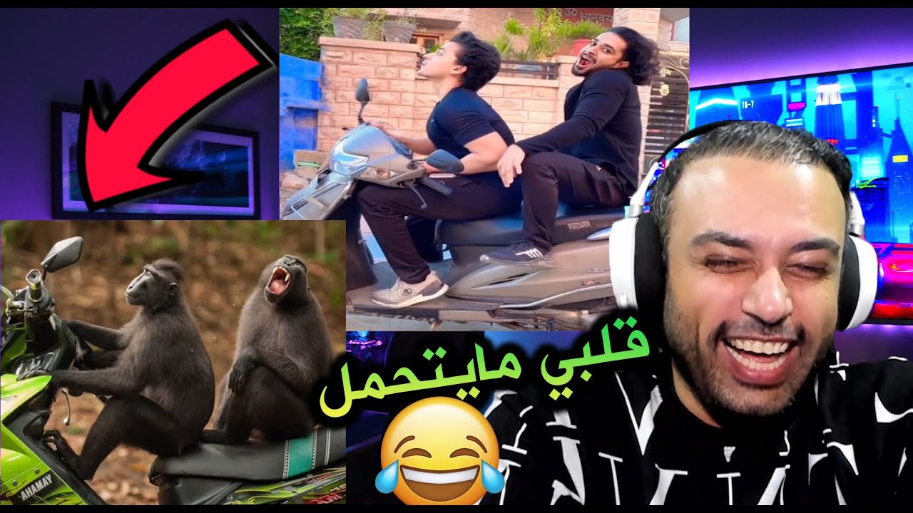 ميمز كوكتيل !! ضحك متواااصل😂😂 قلبي لا يتحمل