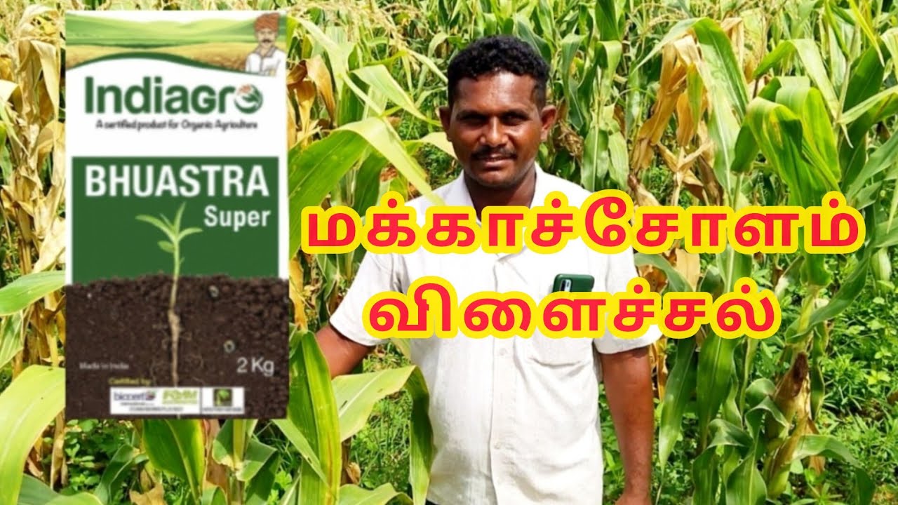 Bhuastra Super Results in Tamil #trending..