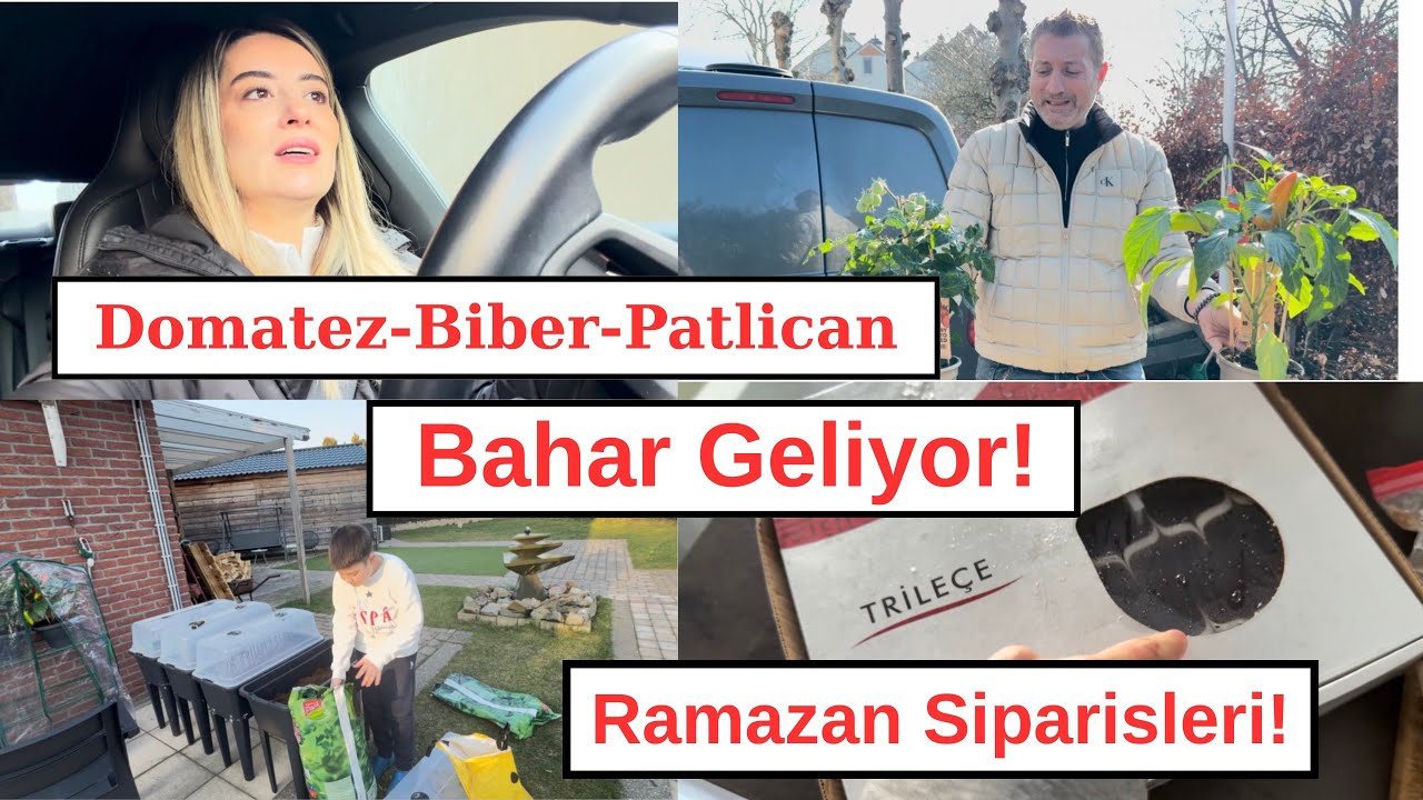 Bahçemiz şenlendi 🌸Bahceye Sebze Ektik! Sera Kurduk! Doktor Tavsiyesi! Tadilat Basliyor! #vlog