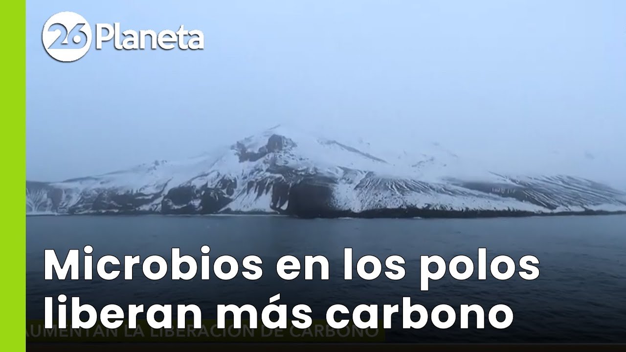 El deshielo en los polos activa microbios que aumentan la liberación de carbono | #26Planeta