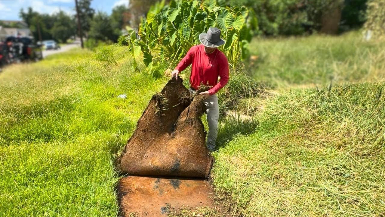 They haven't SEEN this SIDEWALK in YEARS