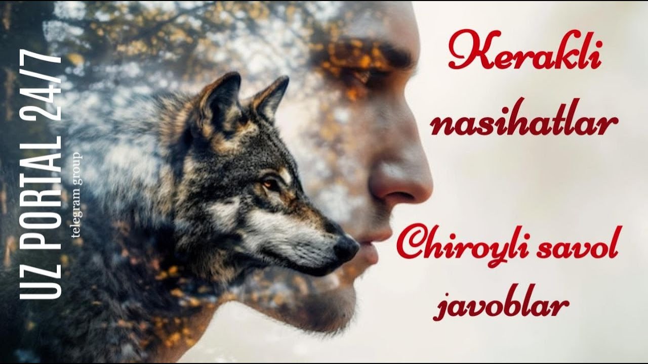 #USTOZ #IBN #SAFO #BILAN #CHIROYLI #SAVOL-JAVOBLAR 28.12.2025 #KUNGI #SUHBAT