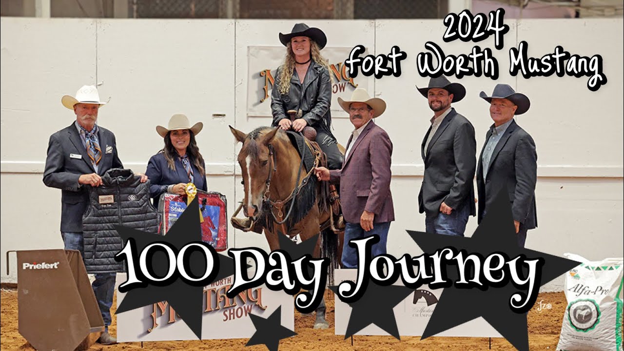 From Wild to Mild | Jimin’s Journey to the Fort Worth Mustang Show